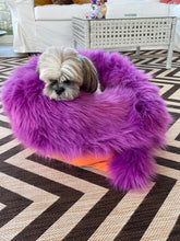 Load image into Gallery viewer, Penny,Cozy and comfy Pet bed, especially for senior pets and puppies