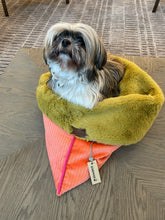 Load image into Gallery viewer, Juno Snuggle Bed for Pets, Gift for Pet