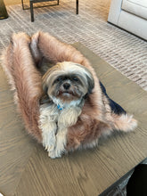 Load image into Gallery viewer, Dexter Dark Blue Snuggle Bed for Pets, Cuddle Bed