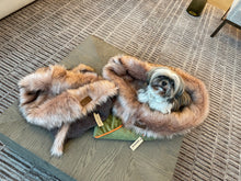 Load image into Gallery viewer, Pistachio, Snuggle Bed for Pets, Cuddle Bed, Faux Fur Pet Bed