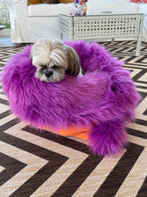 Load image into Gallery viewer, Penny,Cozy and comfy Pet bed, especially  for senior pets and  puppies

