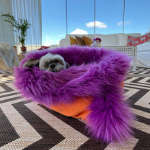 Load image into Gallery viewer, Penny,Cozy and comfy Pet bed, especially  for senior pets and  puppies
