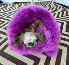 Load image into Gallery viewer, Penny,Cozy and comfy Pet bed, especially  for senior pets and  puppies
