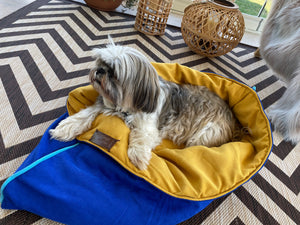 Leo,Snuggle Bed for Pets