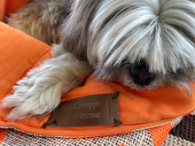 Load image into Gallery viewer, Cosmo, Snuggle Bed for Pets
