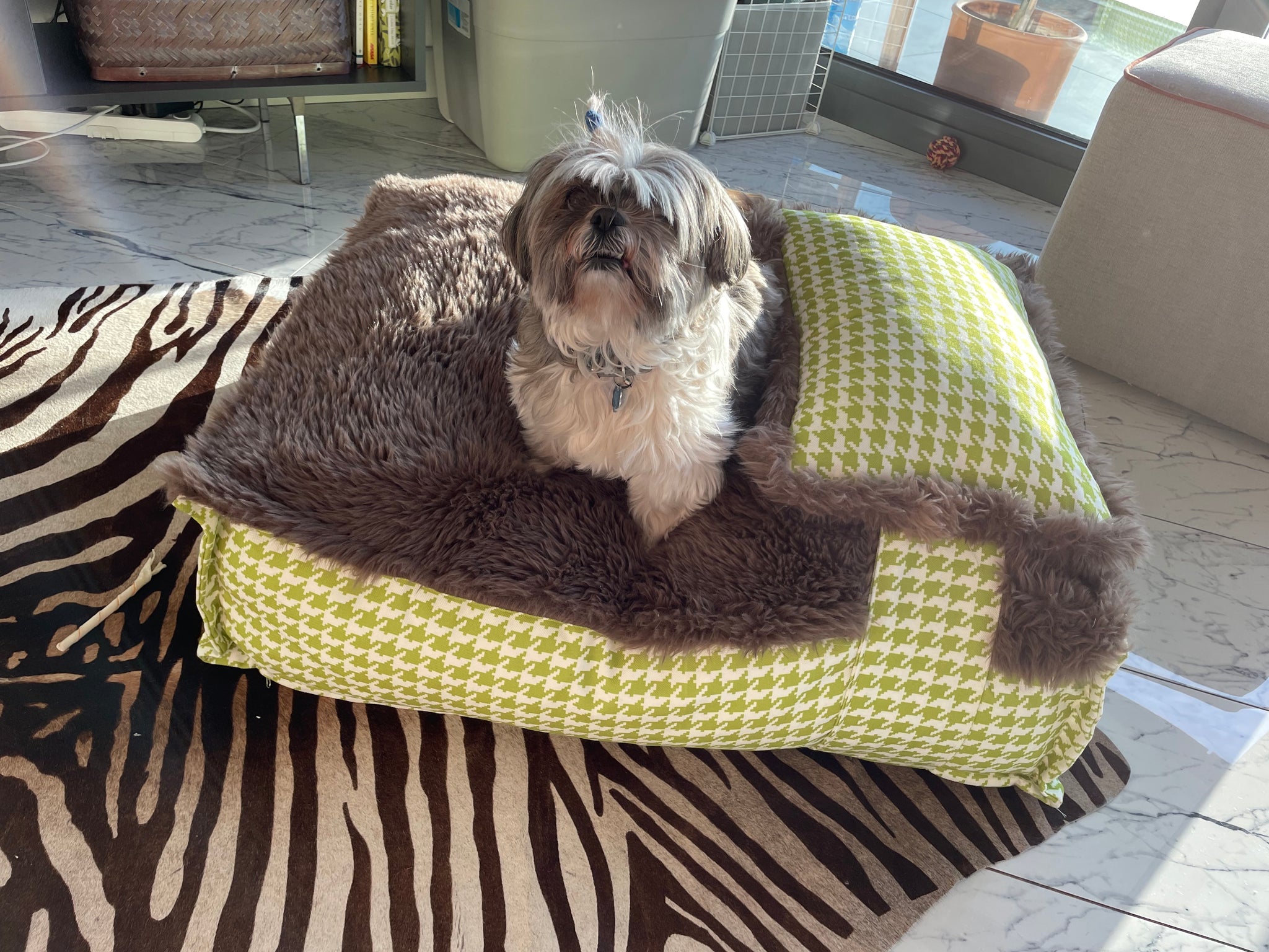 Dog bed best sale as floor pillow