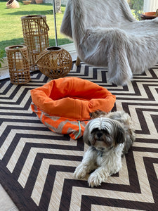 Cosmo, Snuggle Bed for Pets