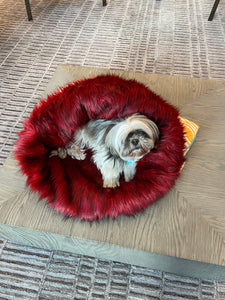 Copper, Snuggle Bed for Pets