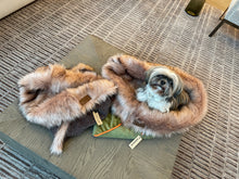 Load image into Gallery viewer, Pistachio, Snuggle Bed for Pets, Cuddle Bed, Faux Fur Pet Bed
