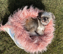 Load image into Gallery viewer, Mia Soft Pink Cave Pet Bed
